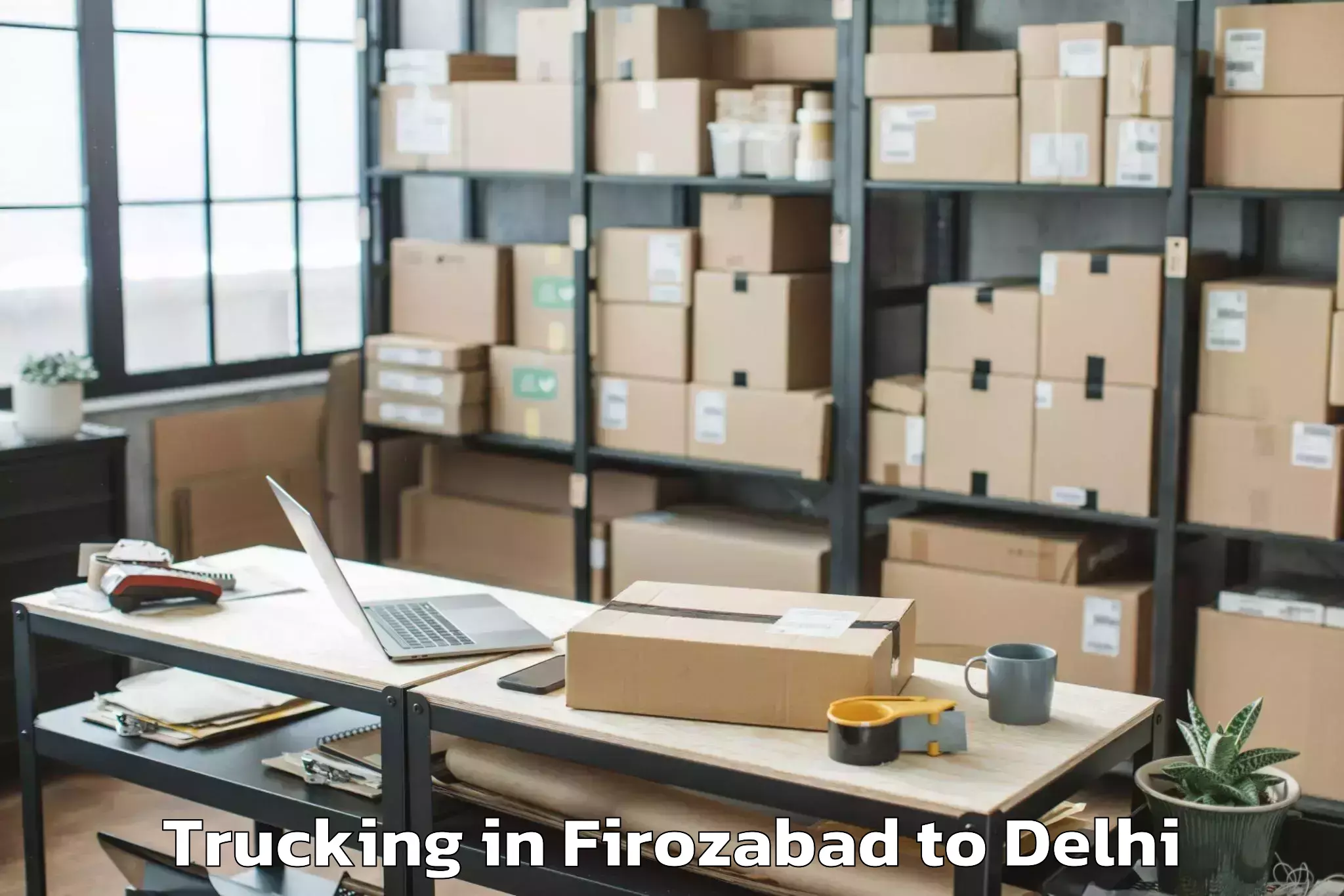 Trusted Firozabad to Jamia Hamdard New Delhi Trucking